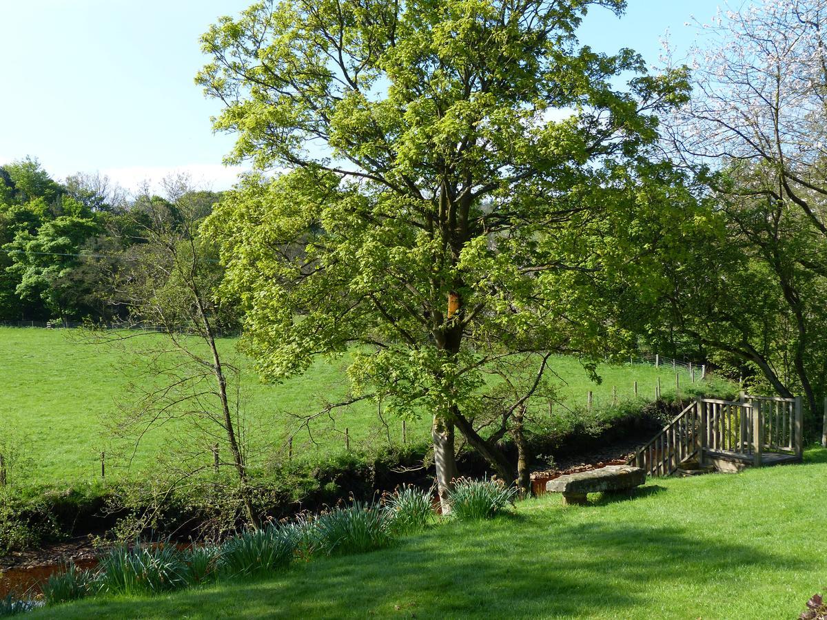 Millbrook Bed & Breakfast Penistone Luaran gambar